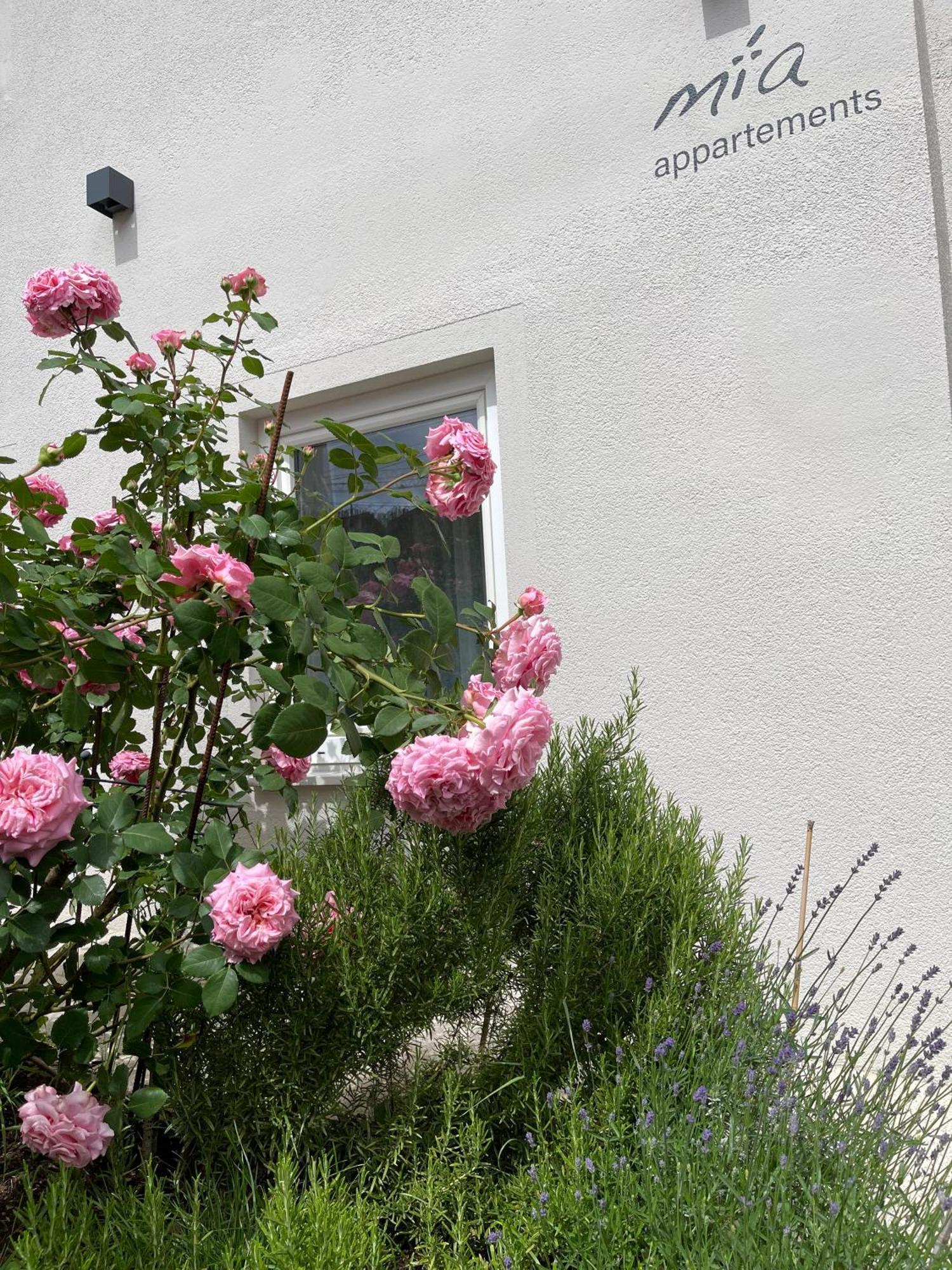 Mia Appartements Innsbruck Exterior photo